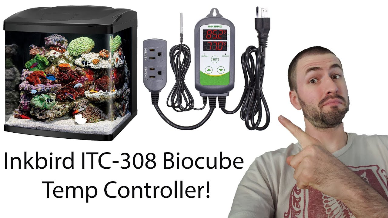 Inkbird ITC-308S Impressions and How-To-Use (Excellent Biocube Temp Controller!)