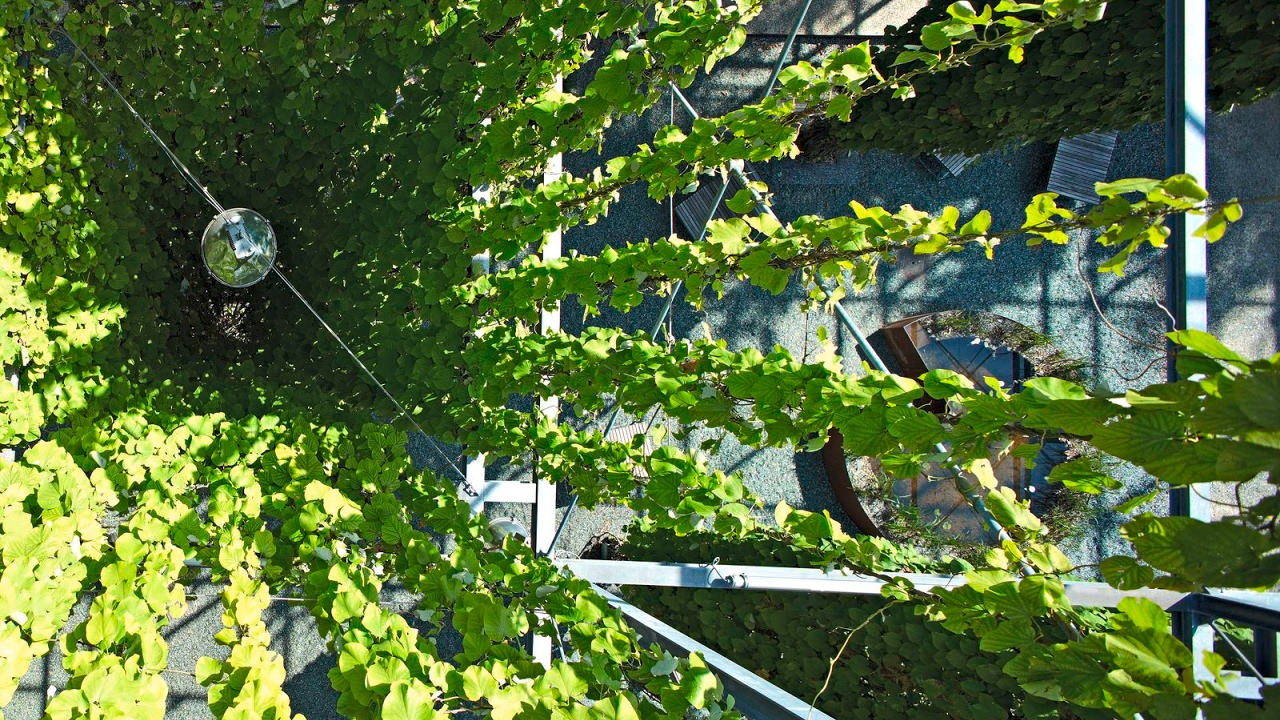Jakob Rope Systems - Company of the Week