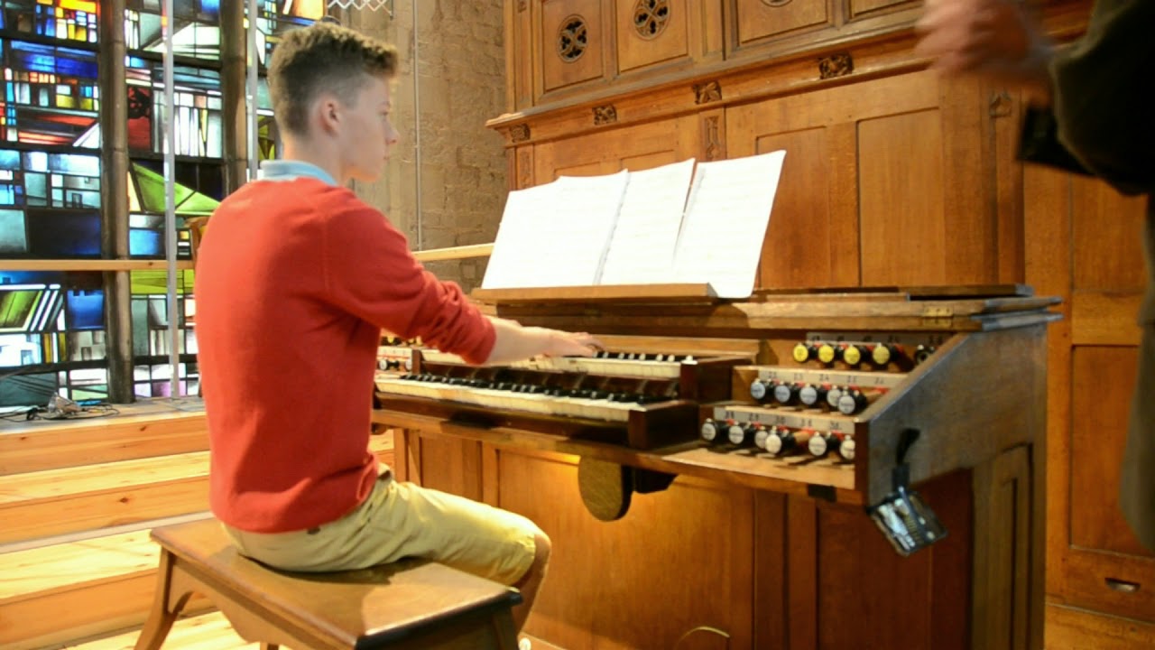 Penguins' Playtime - Nigel Ogden - by Antoine Anneessens