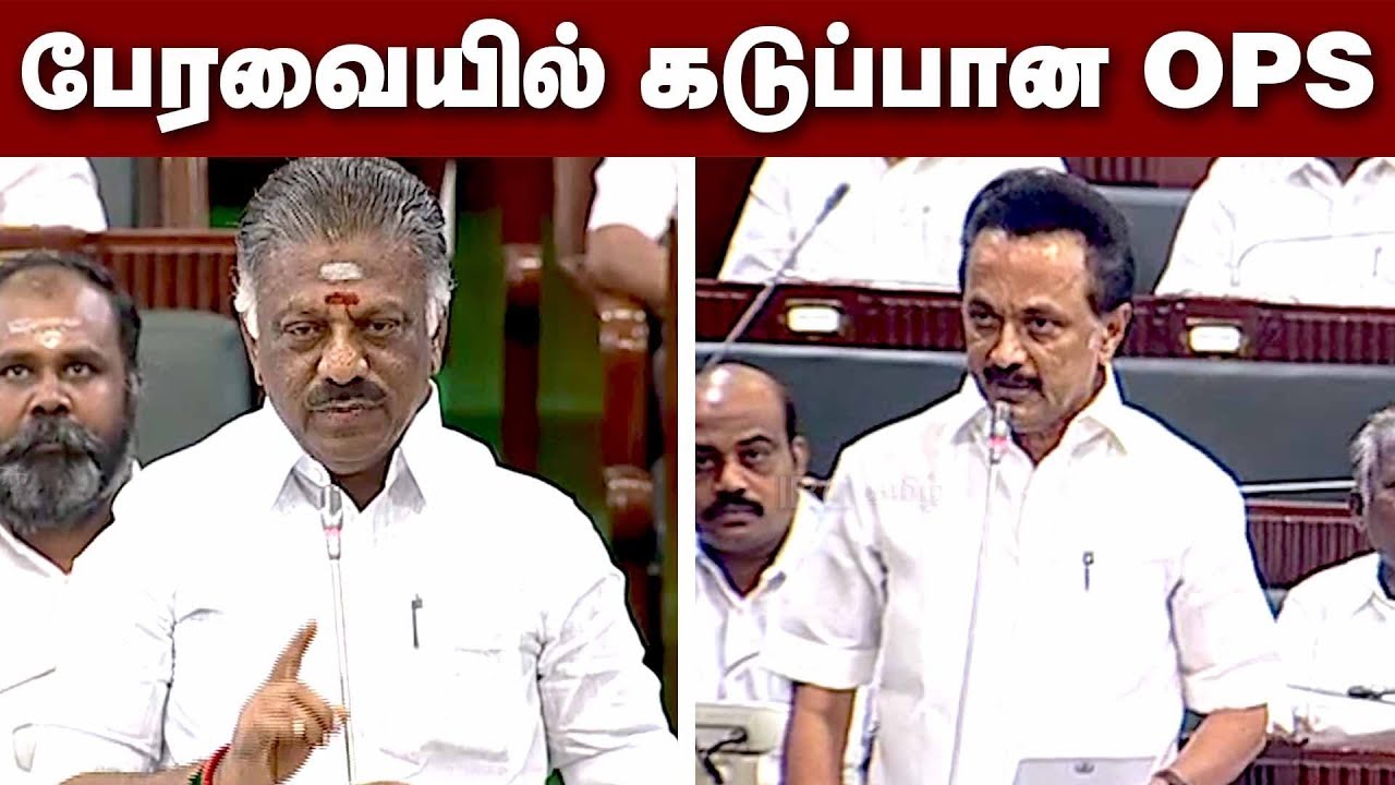 நாங்க பேச ஆரம்பிச்சா நீங்க தாங்கமாட்டிங்க - OPS ஆவேசம் | OPS Assembly Speech