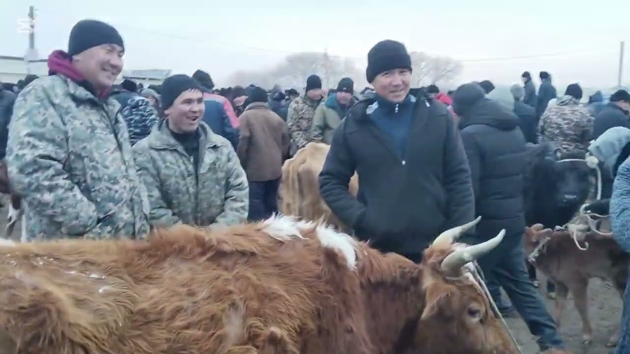 29 ЯНВАРЬ 2025 ЖЫЛ КАРАОЗЕК МАЛ БАЗАР БАХАЛАРЫ КАЛАЙ БОЛДЫ ТАМАША ЕТЕМИЗ ЛАЙК БАСАМЫЗ#КАРАОЗЕК