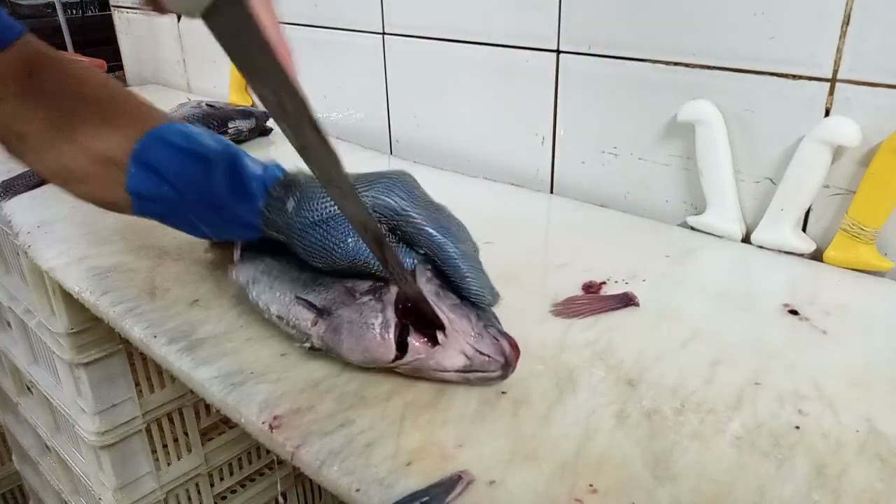 Tilapia aberta pela Costa, pra fazer na churrasqueira ou no forno