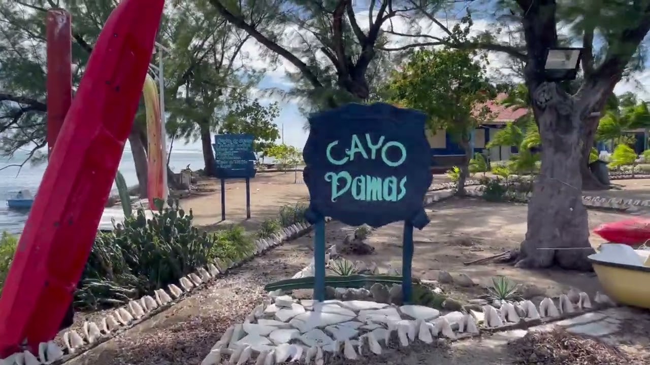 Brisas Sierra Mar resort, Cuba - Feb. 2024 vacations. Video 6/7.
