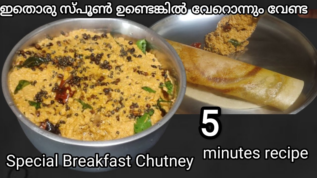 ഈ ഒരു ചമ്മന്തി ഉണ്ടെങ്കിൽ നിങ്ങൾ എത്ര ദോശ കഴിച്ചൂന്നു അറിയുകേ ഇല്ല  Special Dosa Chammanthi Recipe