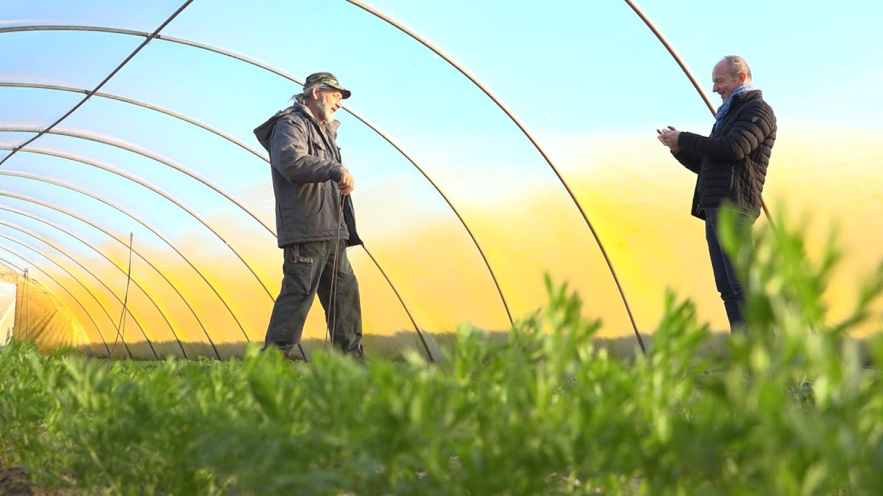 Nehezebb a piacra jutás, de a biotermelők nem adják fel