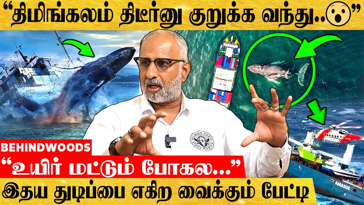 கப்பலின் குறுக்கே வந்த திமிங்கலம்..😮 Ship கேப்டன் திக் திக் பேட்டி