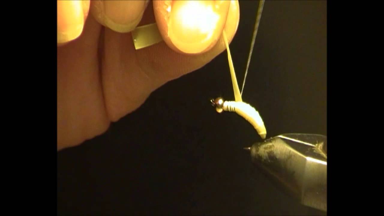 Costruzione larva tricottero