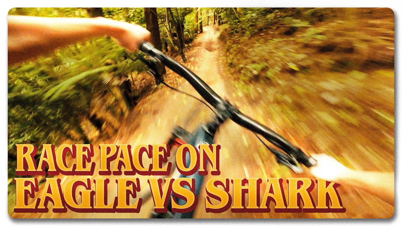 Race Pace on Eagle vs Shark!  |  Rotorua Redwoods