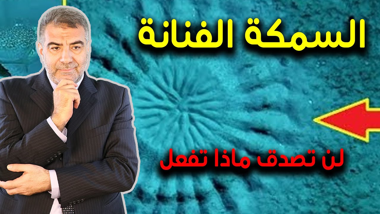 السمكة الفنانة لن تصدق ماذا تفعل | عبدالدائم الكحيل