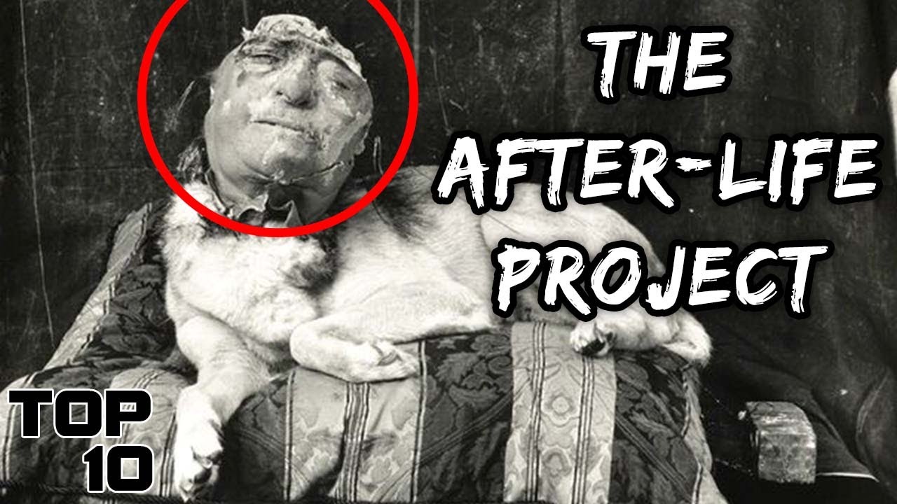 Top 10 Secret Government Projects That Ruined Lives - Part 2