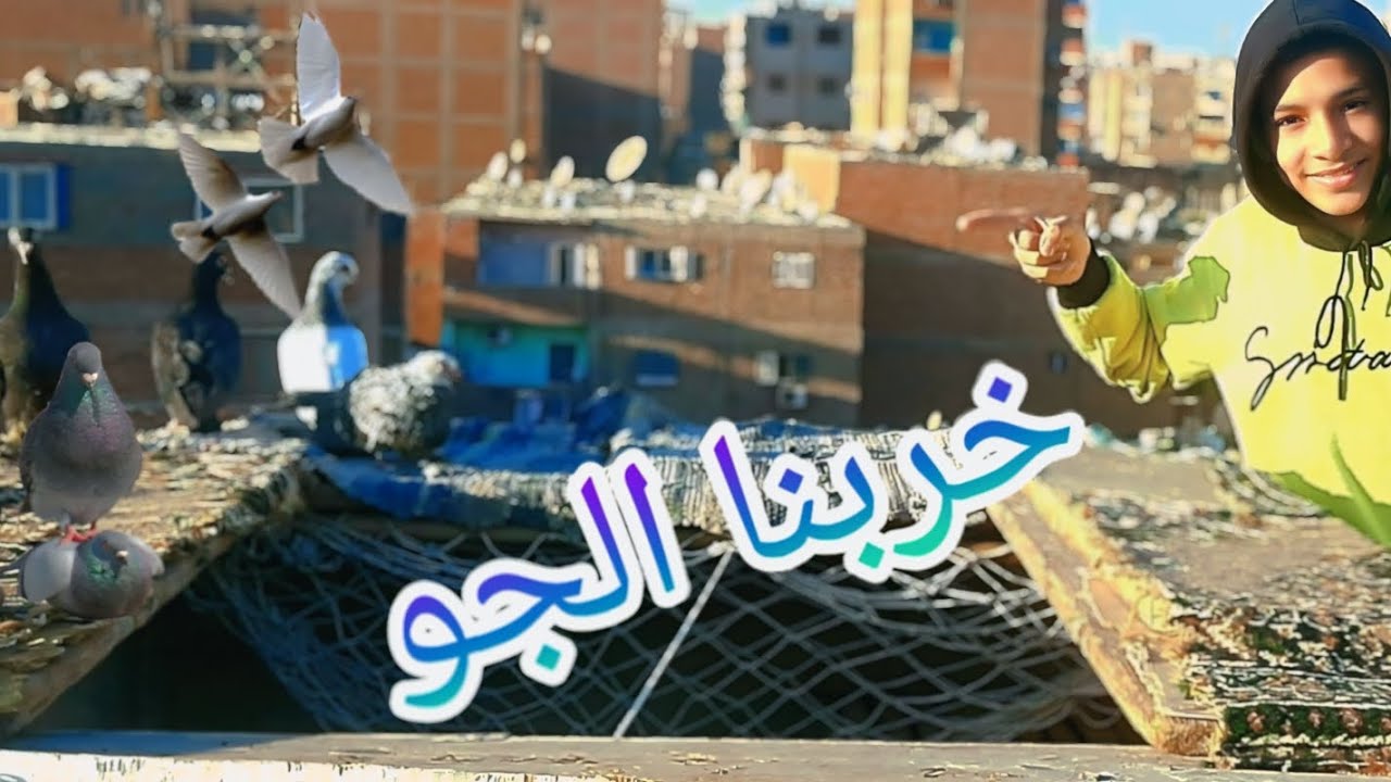 نش الحمام في السطح