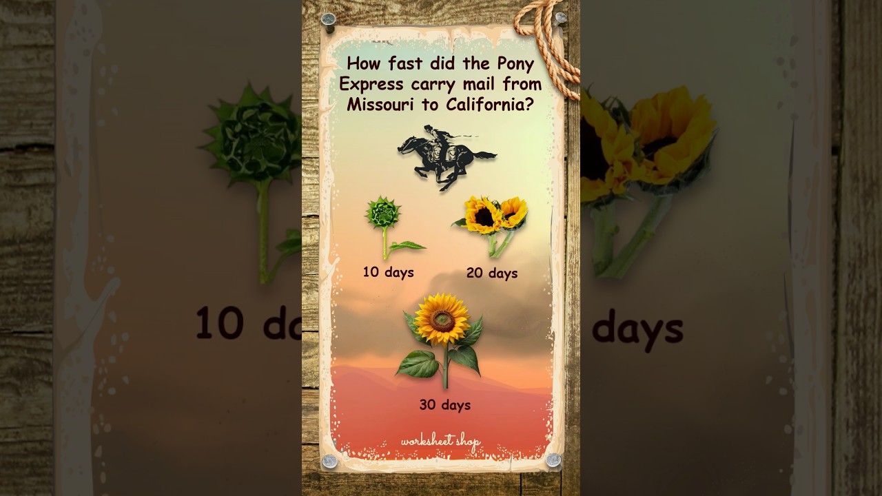 How Fast Was the Pony Express Really? 🐎 Wild West Trivia Quiz