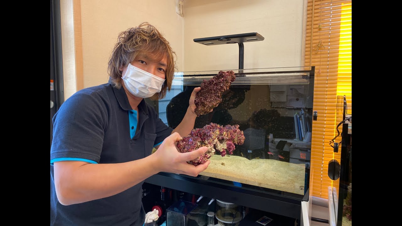 出張REEFER250レイアウト作業