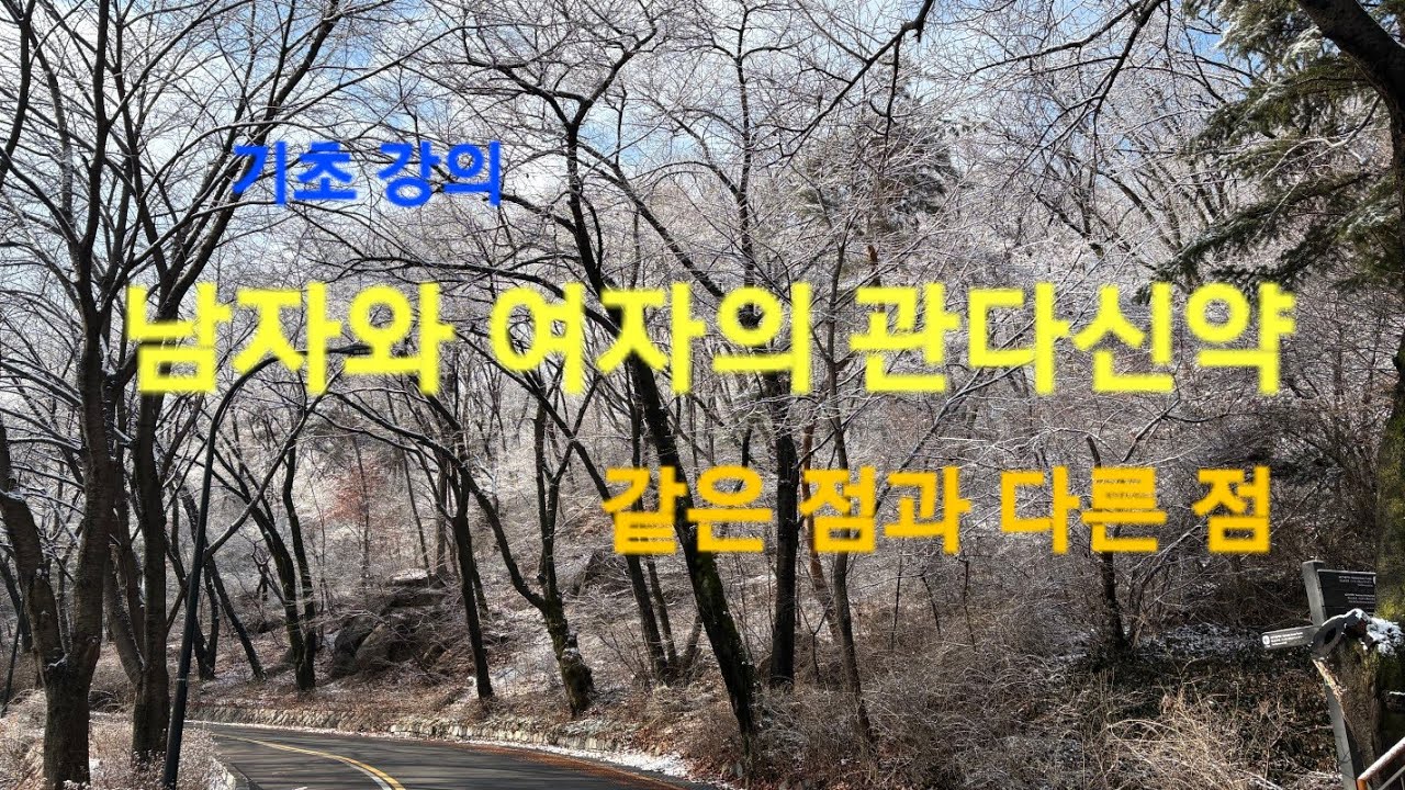 [기초 강의] 관다사주 - 남자와 여자는 어떻게 다를까?