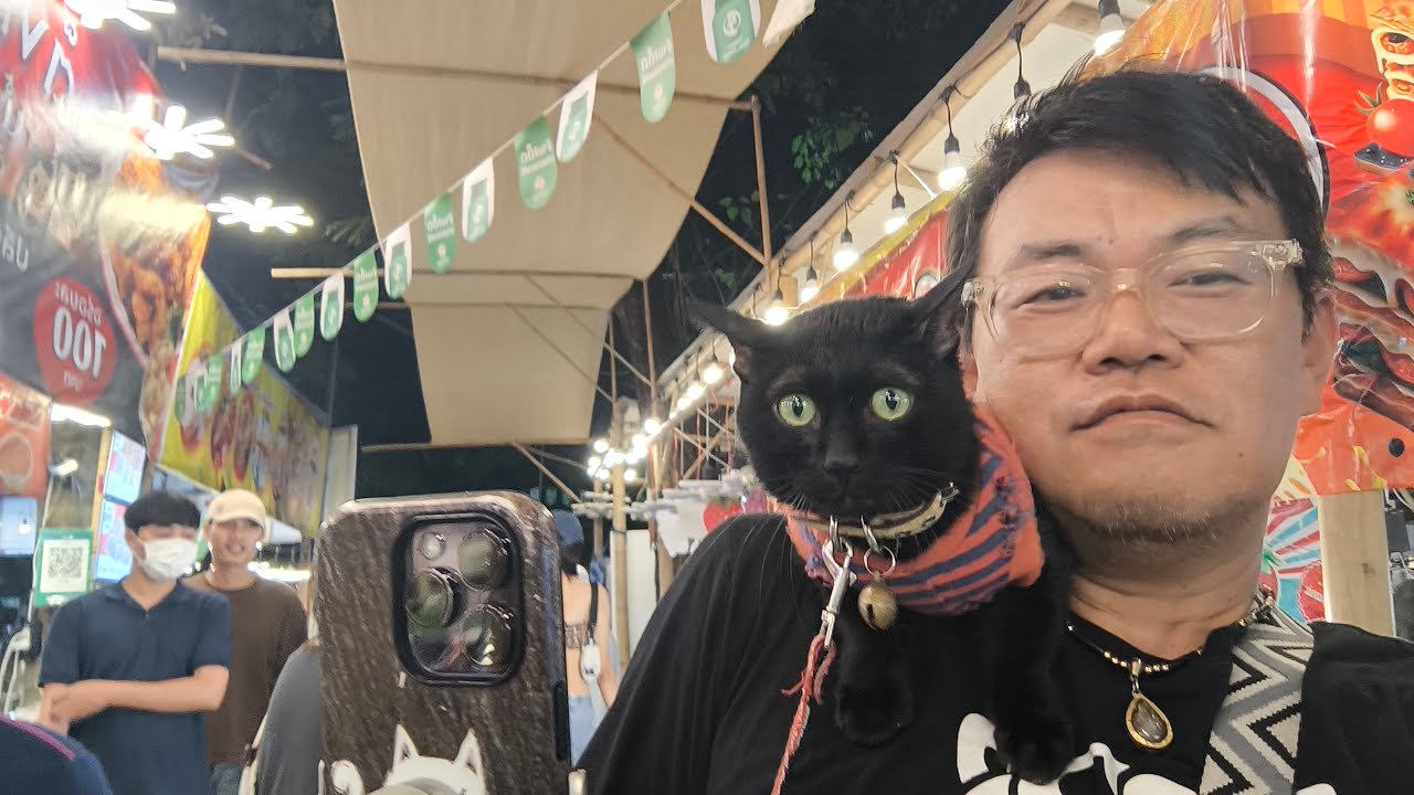 【タイ🇹🇭猫達★LIVE】／3-Feb2026  #cat #neko #猫 #แมว #thailand #bangkok