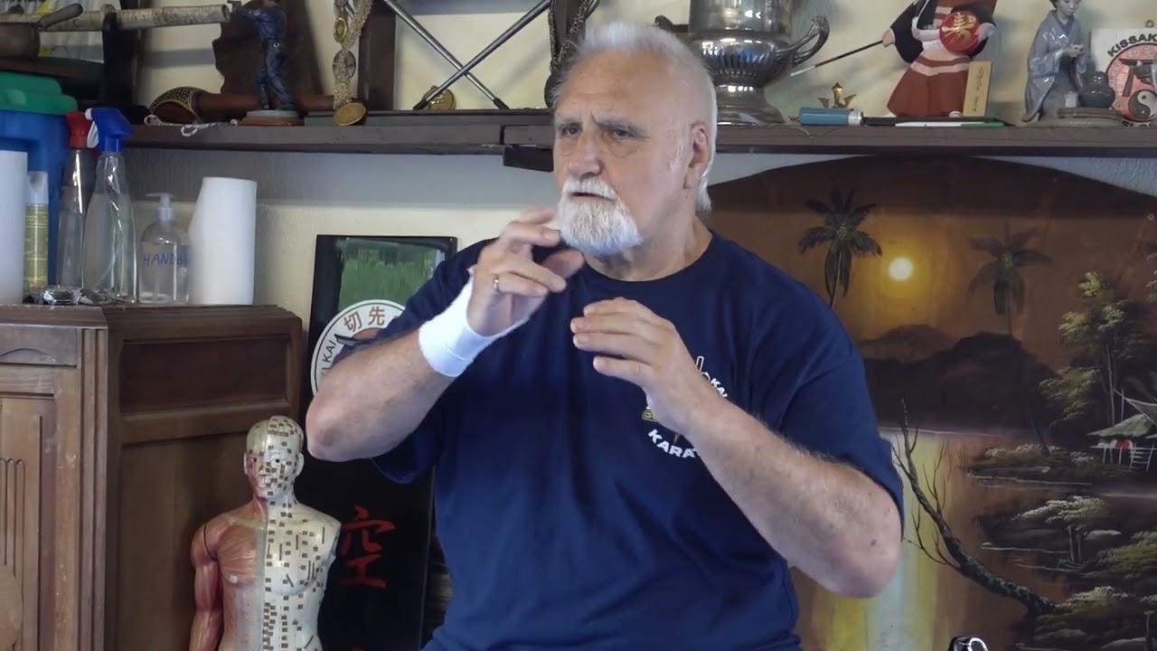 vince explains new shin ippon kumite