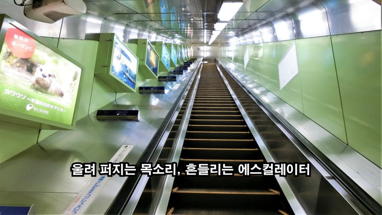 ASIAN KUNG-FU GENERATION - 에노시마 에스카 / Enoshima Escalator (한글자막)