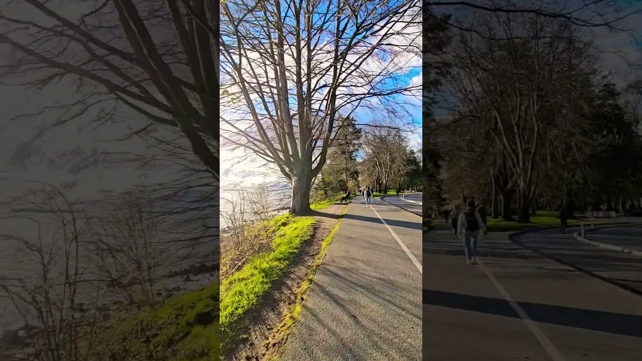 #gorgeous #nature #spring #walk #vancouver #canada