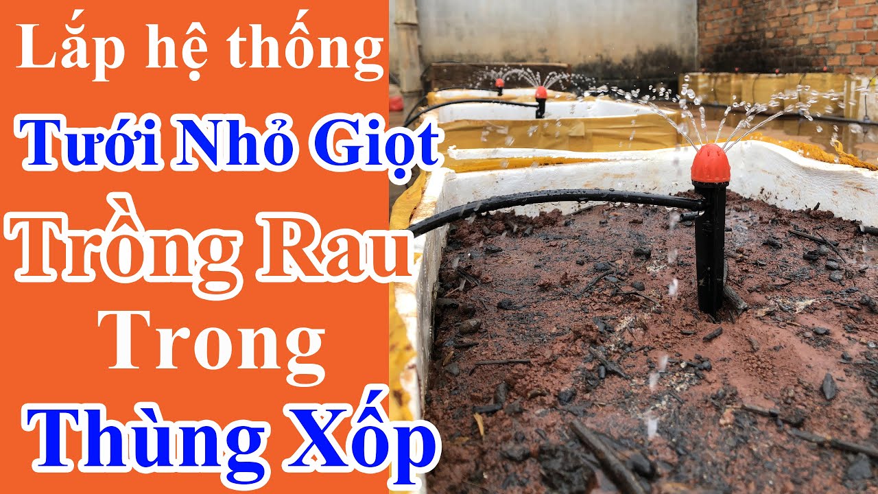 Hướng Dẫn Lắp Hệ Thống Tưới Nhỏ Giọt Cho Vườn Rau, Cây Cảnh Trồng Trong Chậu | Thagi Garden