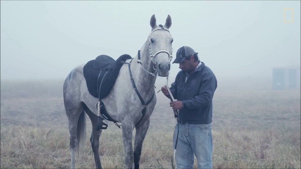 What About Us~Horse Racing Music Video