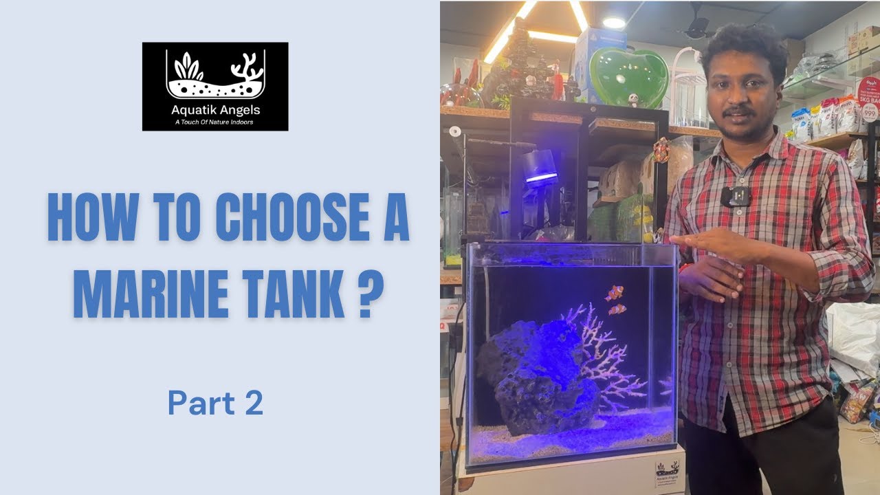 Marine Aquarium Setup Tamil | Part-2 How to Choose a Marine Tank