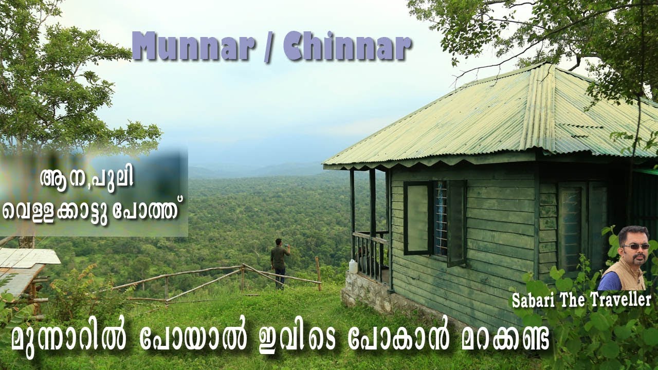 Periyakombu Log House |വെള്ള കാട്ടുപോത്ത്| White Bison| Chinnar|Albino gaur|