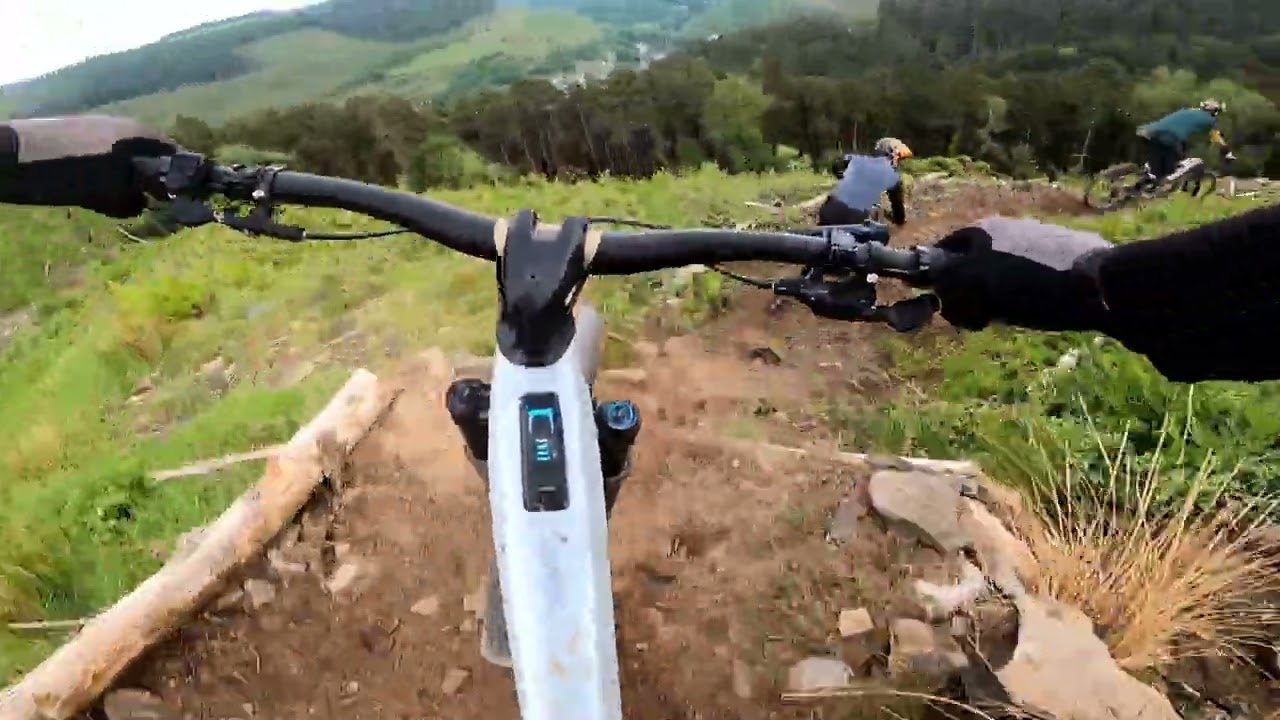Afan masts spring 2024