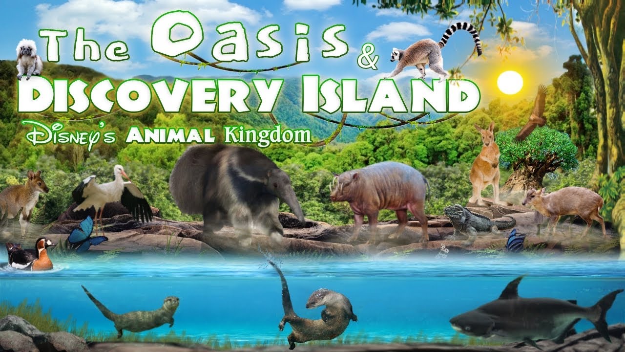 The Oasis & Discovery Island | Disney's Animal Kingdom