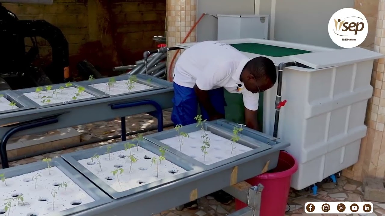 MAGAZINE ISEP DE MATAM : DECOUVERTE FILI&Egrave;RE AQUATIQUE 