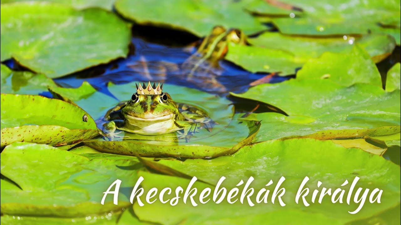 A kecskebékák királya -magyar népmese (hangos mese)
