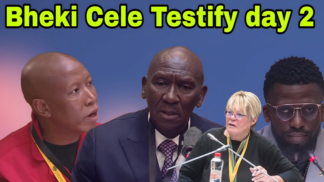 Bheki Cele Testify at Ad hoc committee into General Mkhwanazi allegations. Day 2