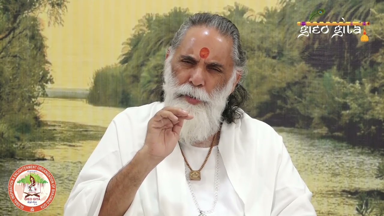 हजारों सूर्यों का दिव्य प्रकाश | अष्टादश श्लोकी गीता - अध्याय 11, श्लोक 12