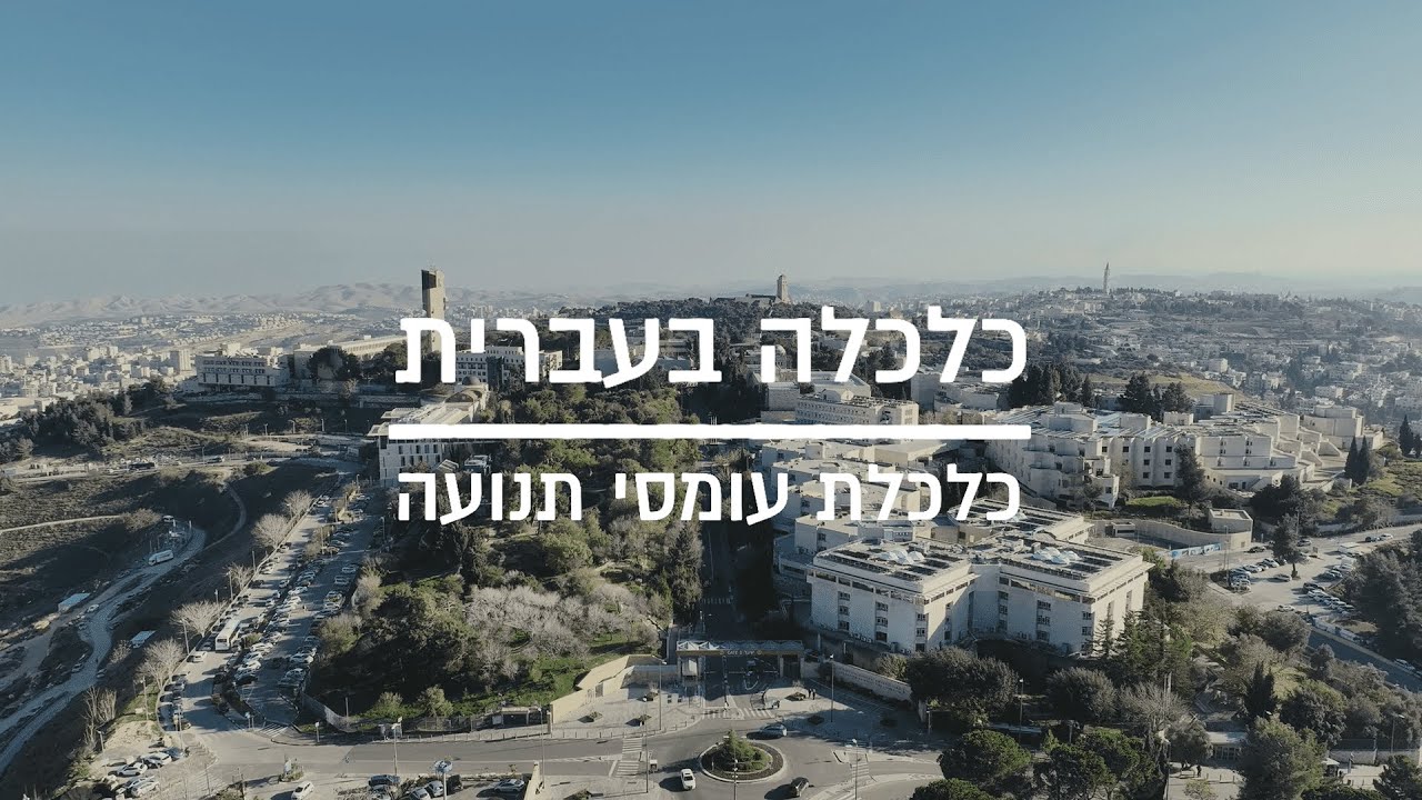 כלכלה בעברית | האם אגרות הגודש הן הפתרון לפקקים?