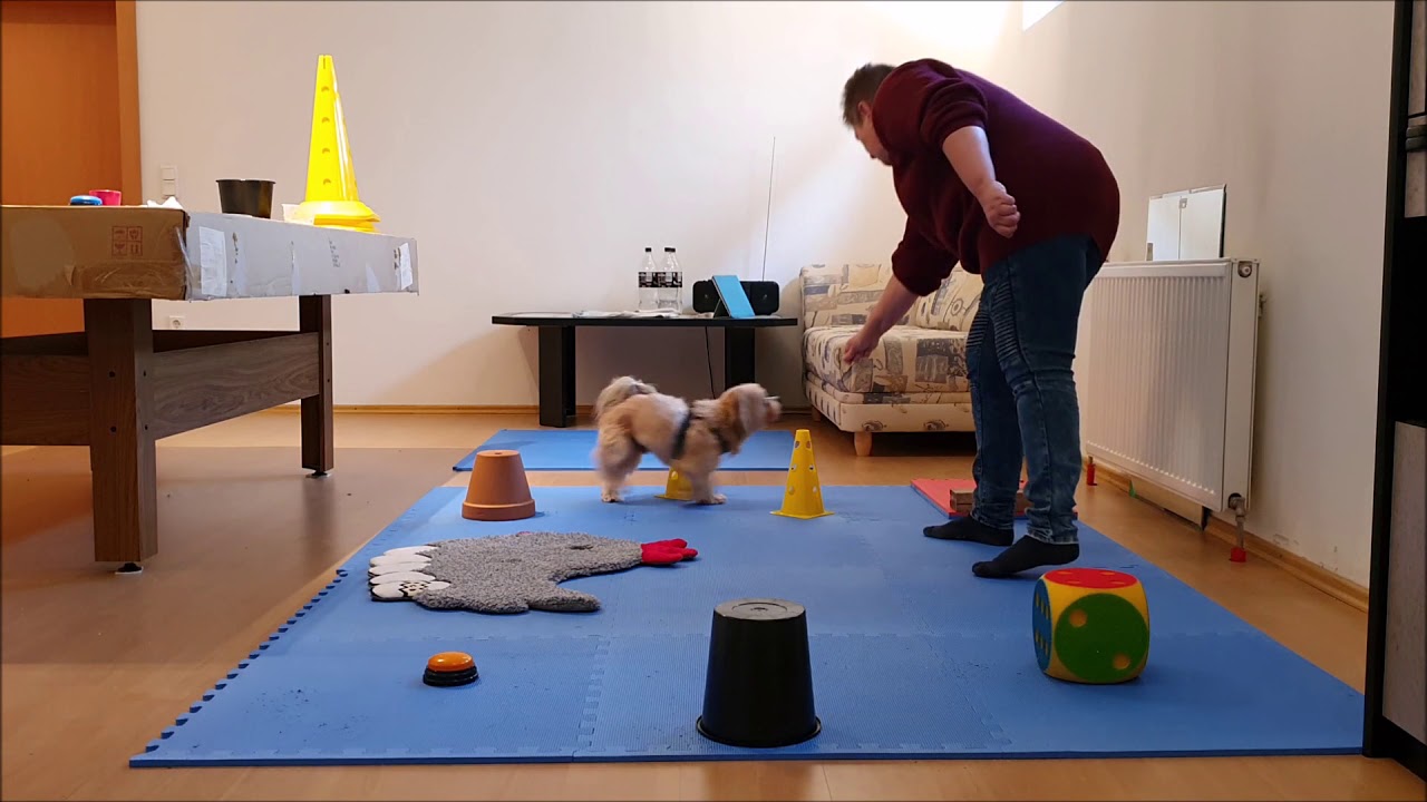 Do as I do - mach's mir nach, Niki!