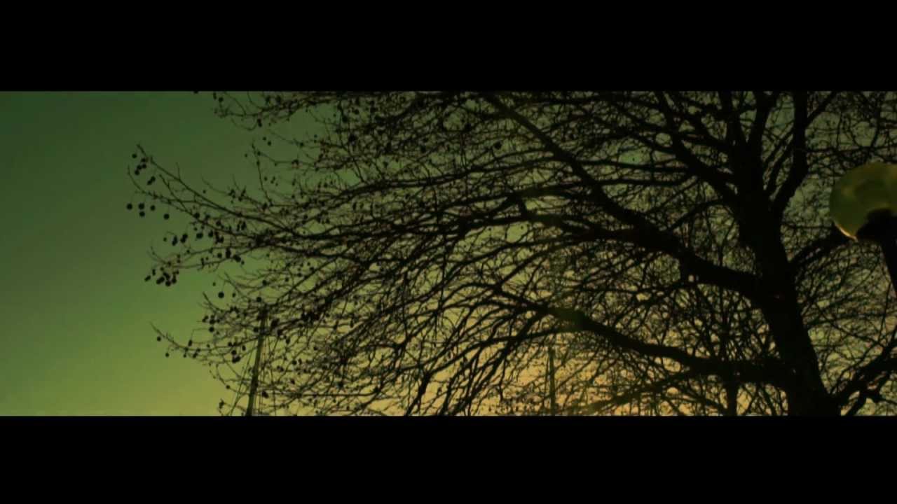 Forestears - Neighbour