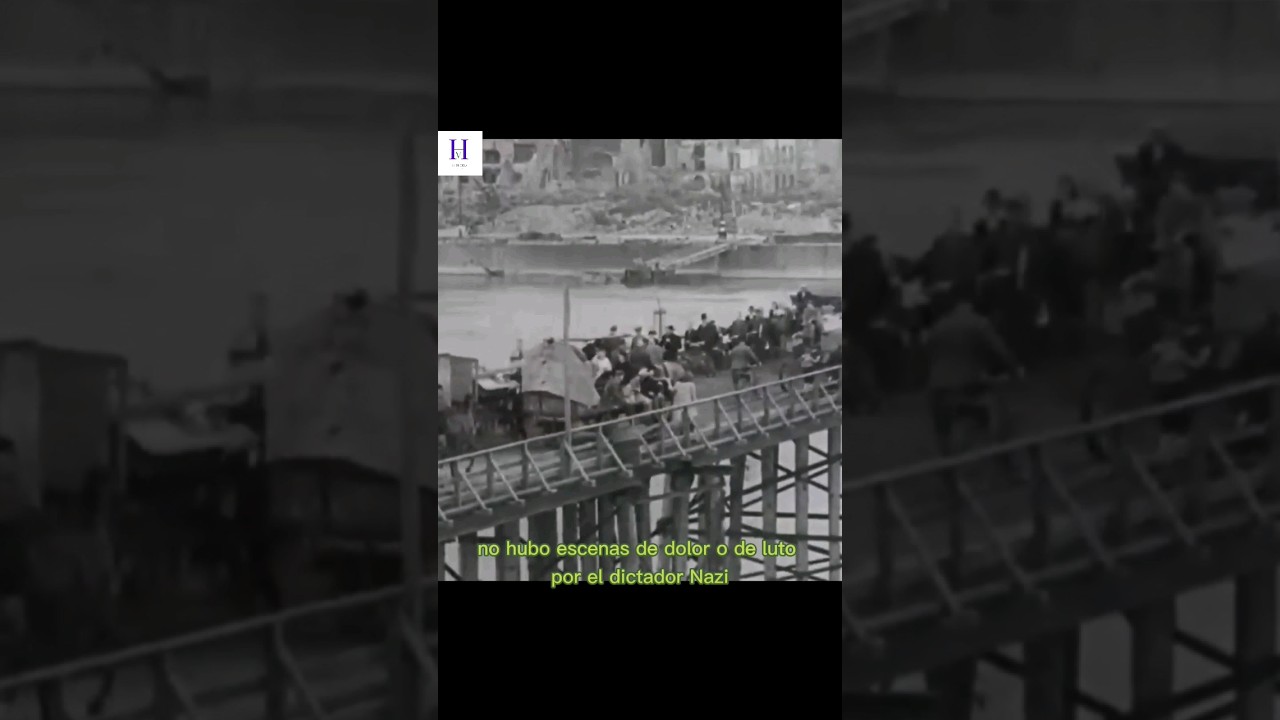 NO HUBO LUTO NI DOLOR HACIA Hitler #terceraguerramundial #historia #historiaviva #guerra