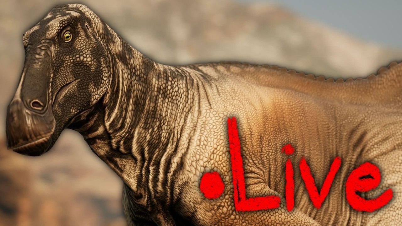 Chill stream! / Nat Hist