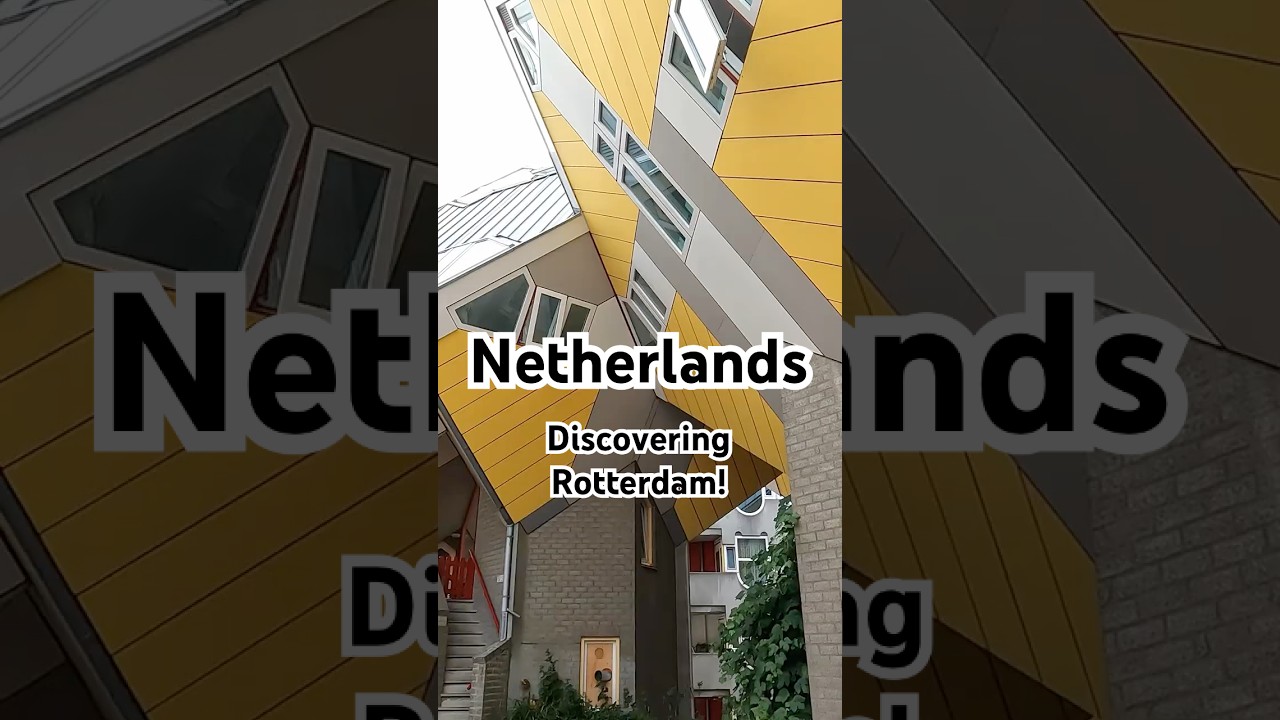 Discovering Rotterdam Join Us On Our Journey