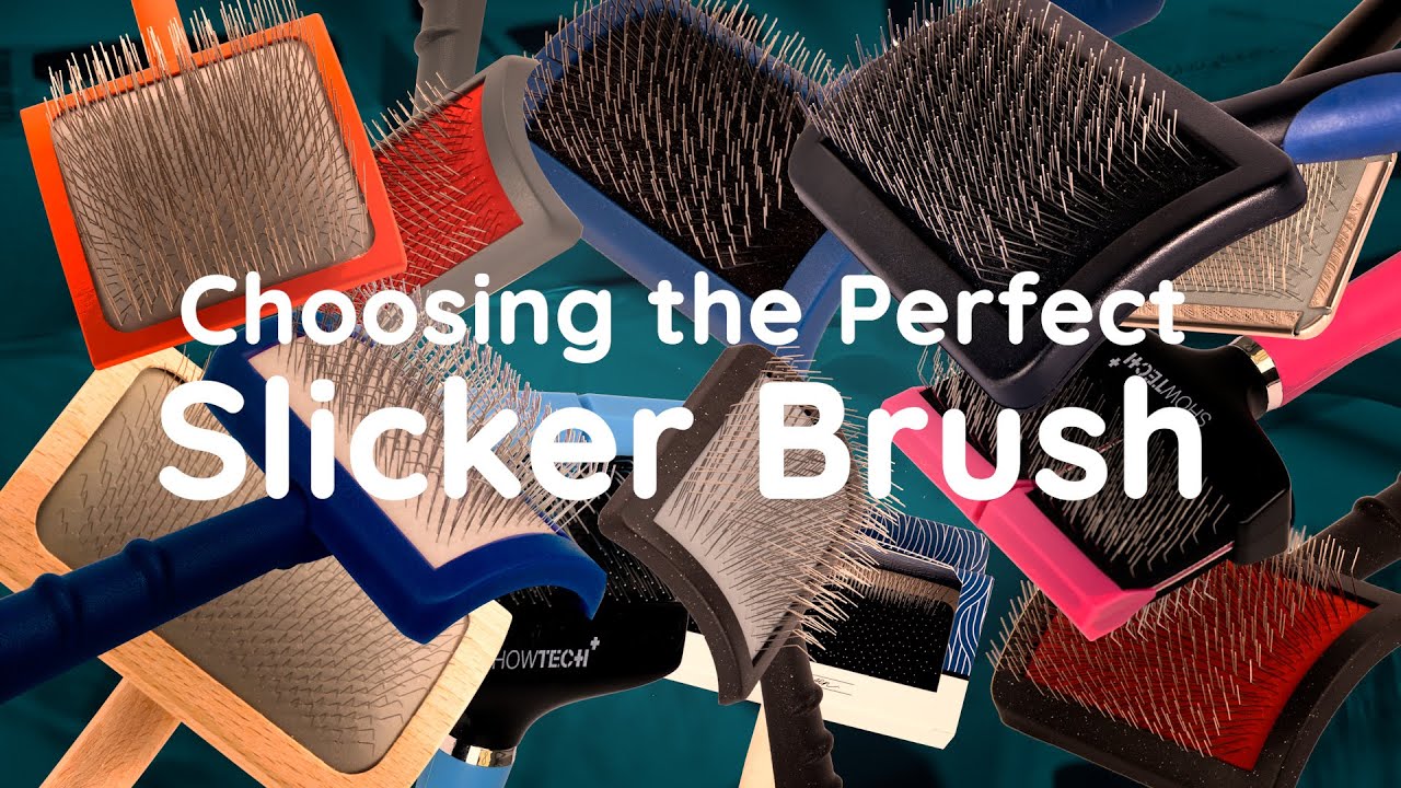 Kitty guides you through the world of Slicker brushes