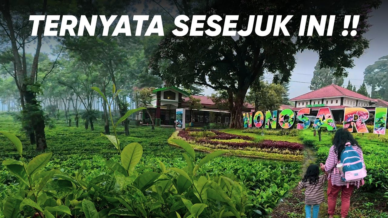 Suasna Terbaru Kebun Teh Wonosari