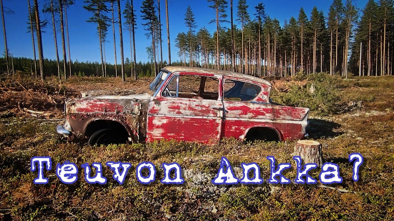 Teuvon Ankka?