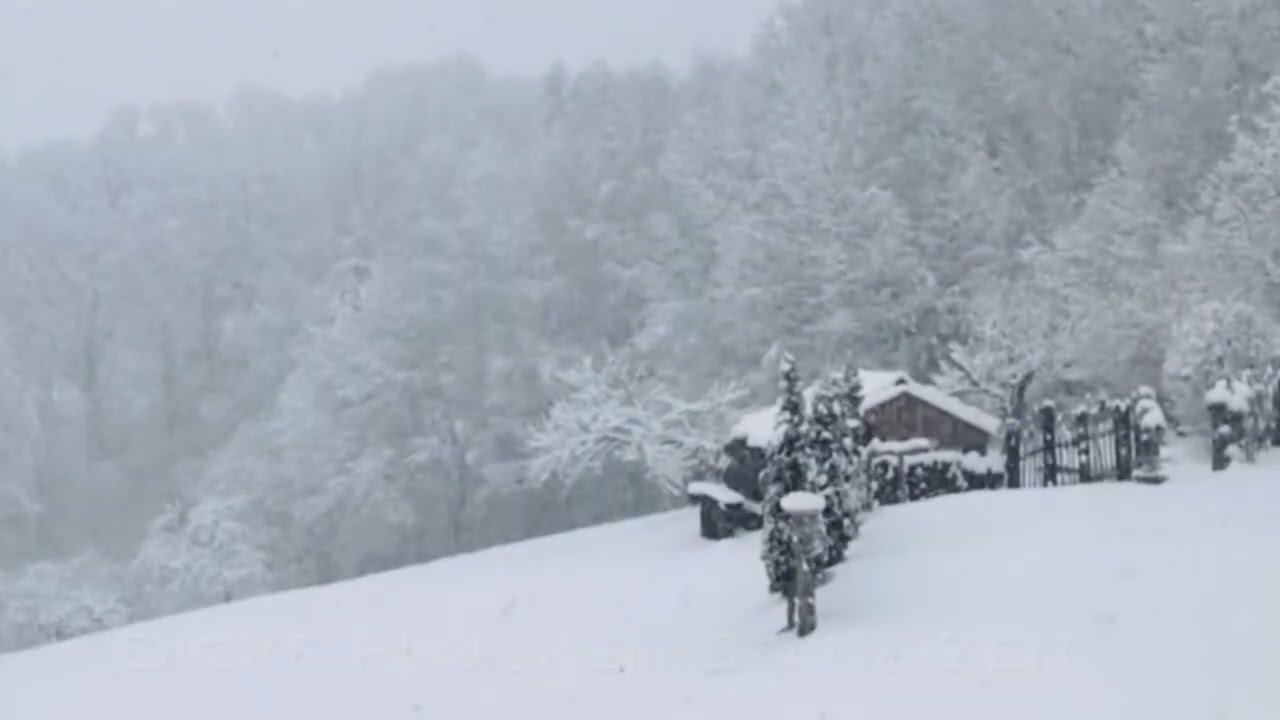 Dicke Flocken - Stade Zeit - I mog des so gern.  