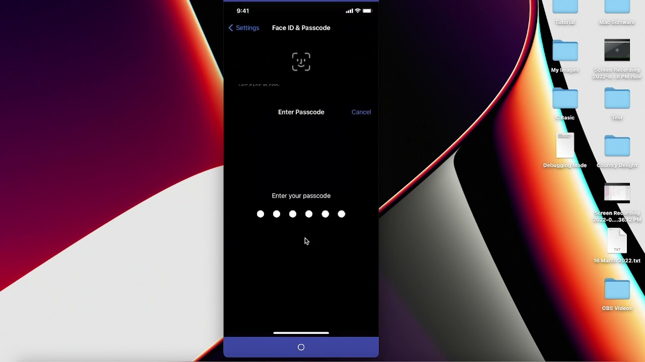 How To enable debugging mode in iOS Device's