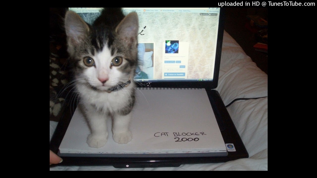 [free] bladee + yung lean + ambient type beat - 