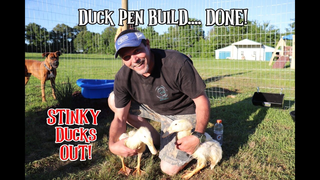 The Ducks Are OUT! How to Build A Duck Pen (Time-Lapse) #FarmLife