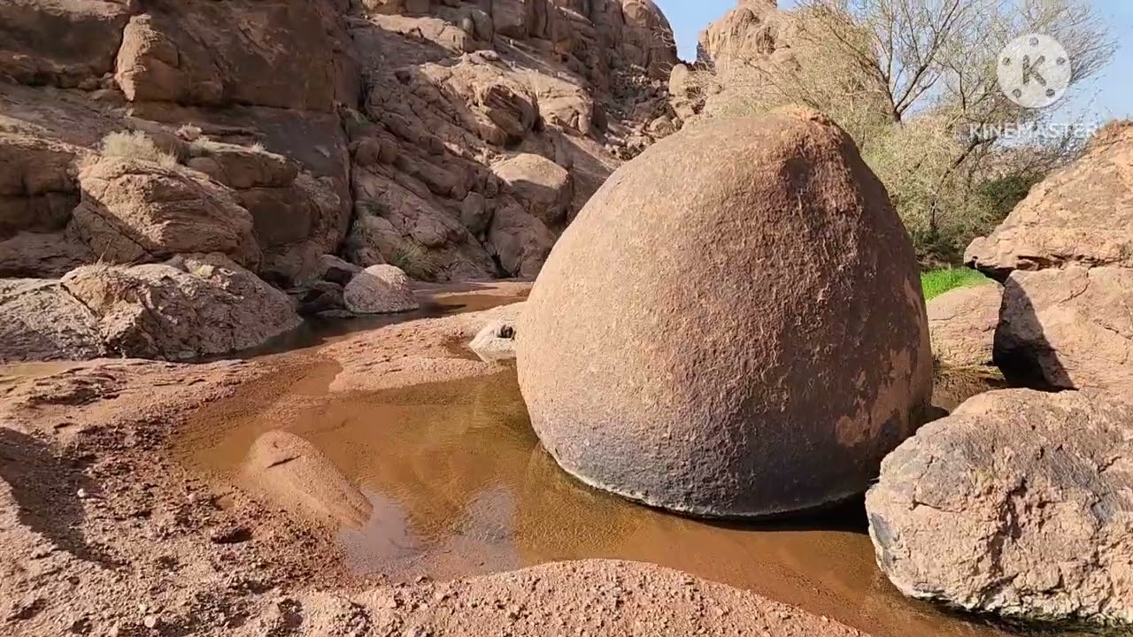 رحلة متخالطة طعومة