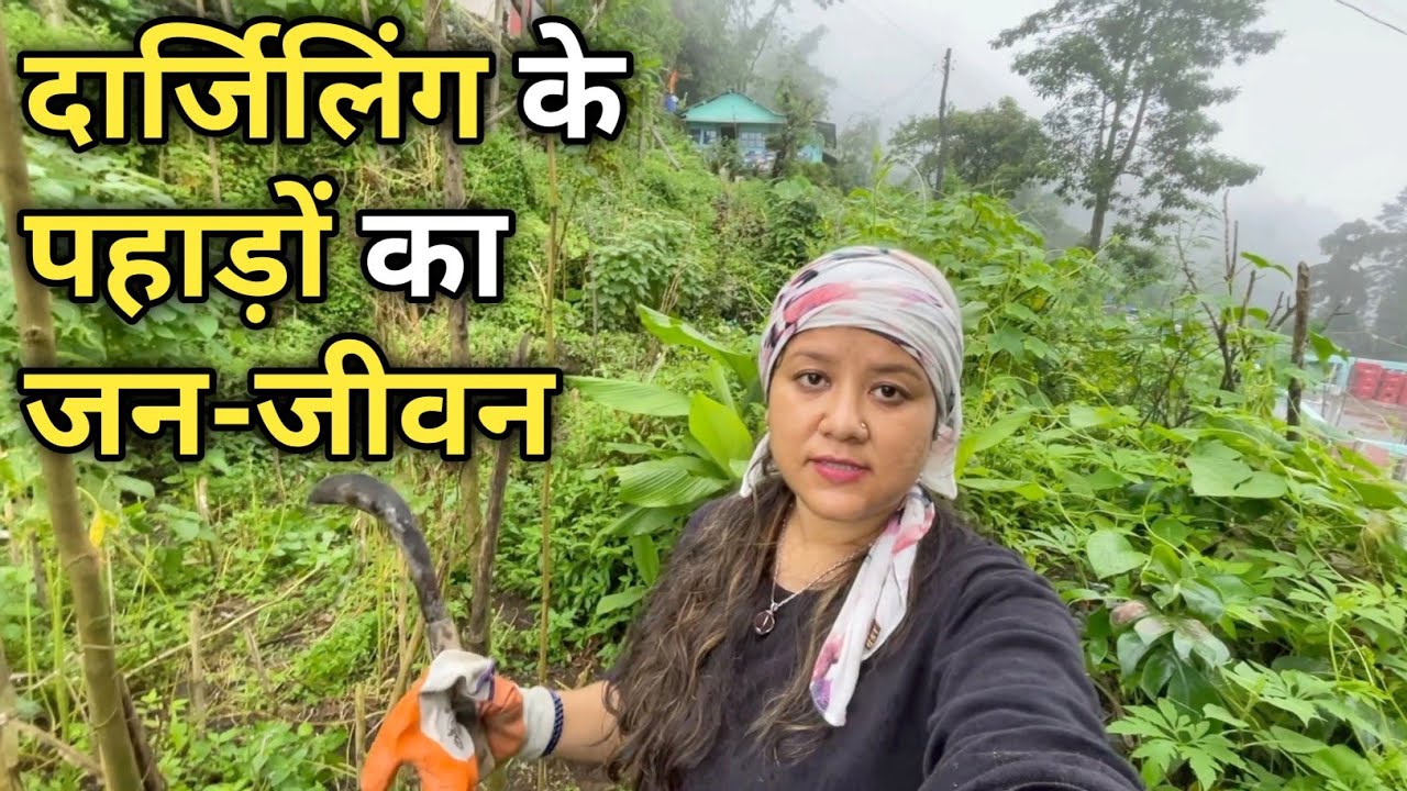 बारिश और दार्जिलिंग के खूबसूरत पहाड़ || Darjeeling Village Lifestyle || Sushmita Chettri Vlogs