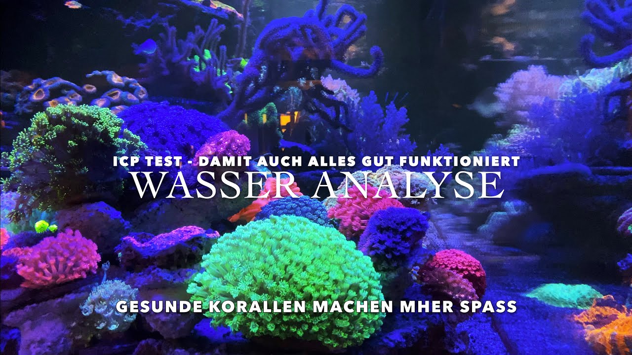 10.000 Liter Meerwasseraquarium Reef ICP Test Wasseranalyse Fauna Marin Labor Besser für Korallen
