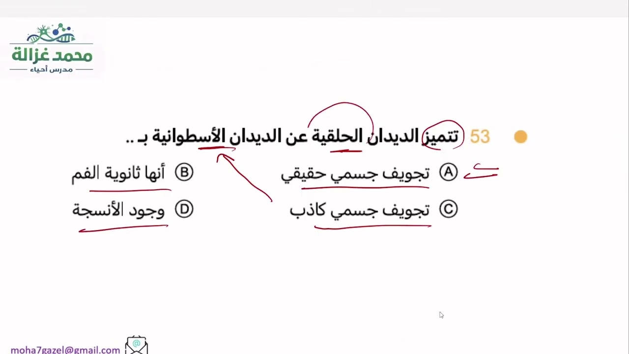 الرخويات والديدان الحلقية  والمفصليات