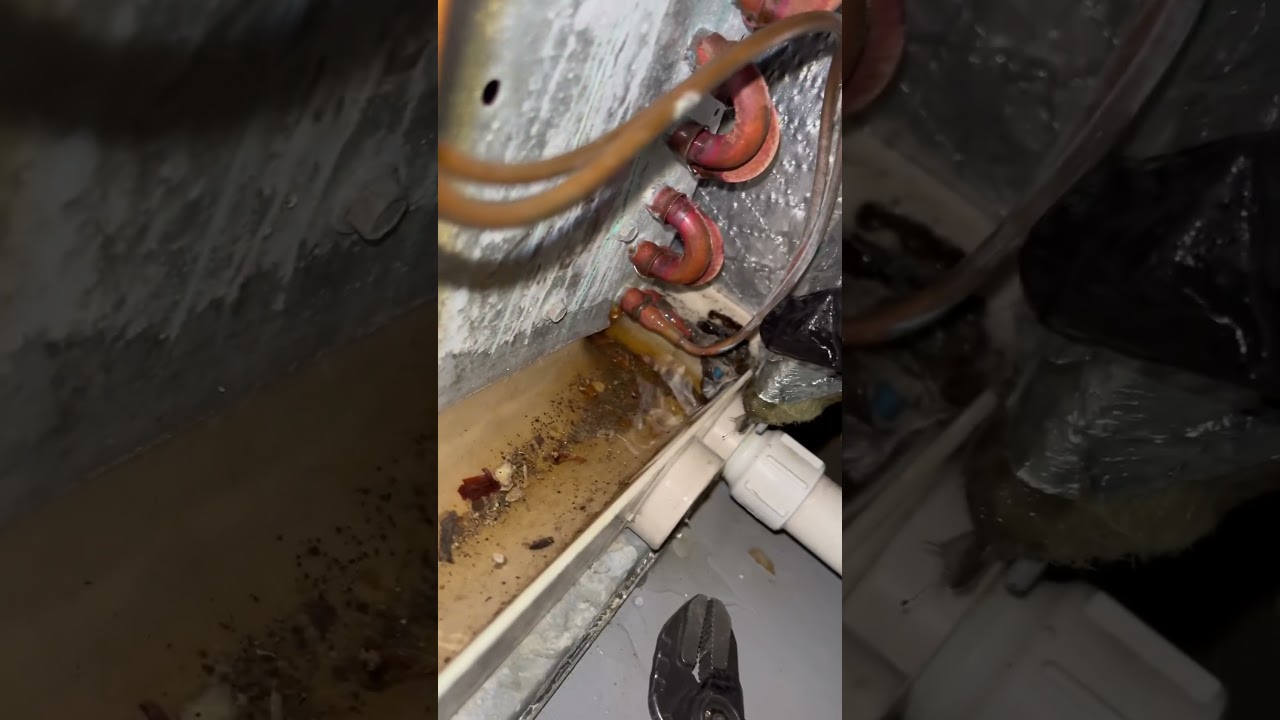 How to clean Ac drain line ￼ #indoorAIRQUALiTYLLC  #IAQLLC #breahcleanwithIAQ #iaqteam